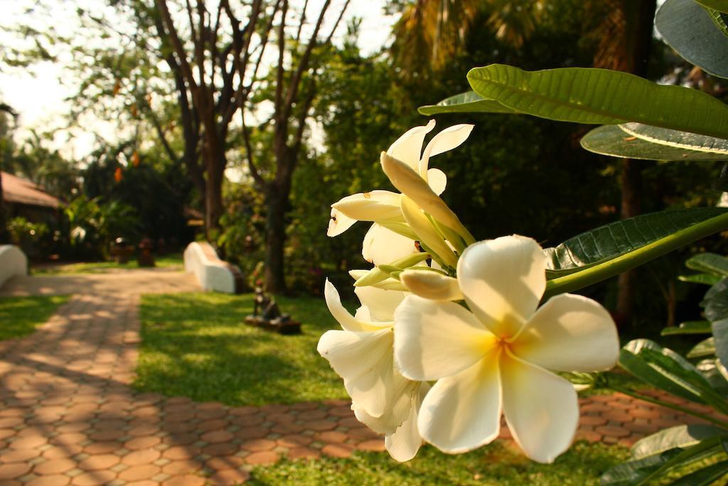 Hotel Secret Garden Chiangmai à San Kamphaeng Extérieur photo